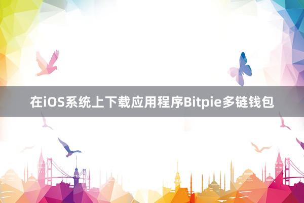 在iOS系统上下载应用程序Bitpie多链钱包