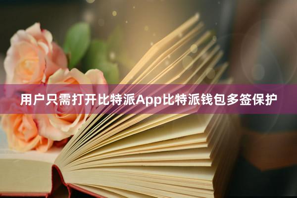 用户只需打开比特派App比特派钱包多签保护