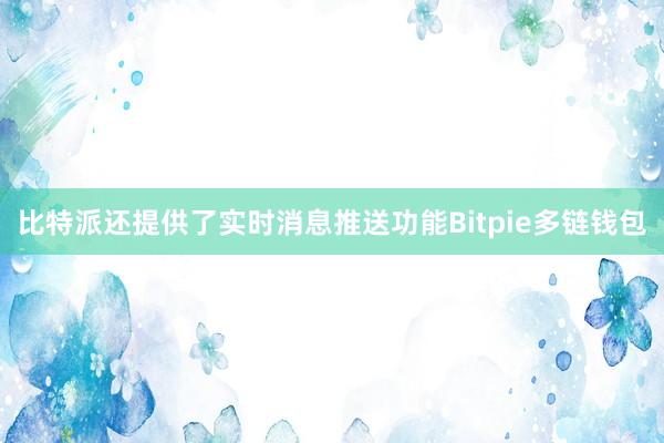 比特派还提供了实时消息推送功能Bitpie多链钱包