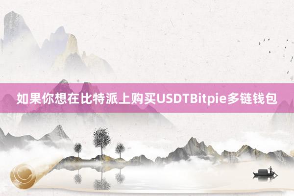 如果你想在比特派上购买USDTBitpie多链钱包