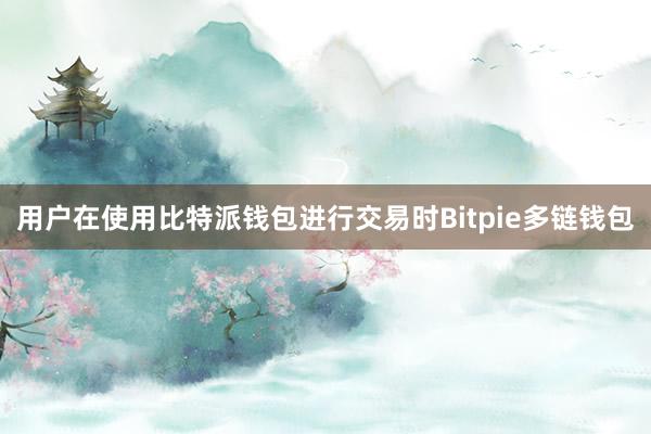 用户在使用比特派钱包进行交易时Bitpie多链钱包