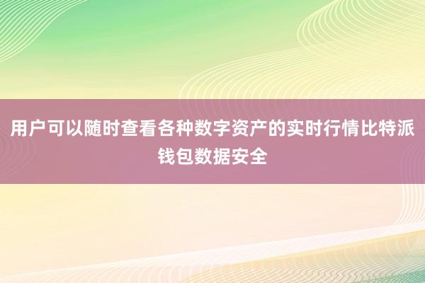 用户可以随时查看各种数字资产的实时行情比特派钱包数据安全