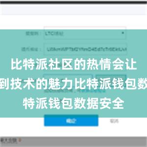 比特派社区的热情会让你感受到技术的魅力比特派钱包数据安全